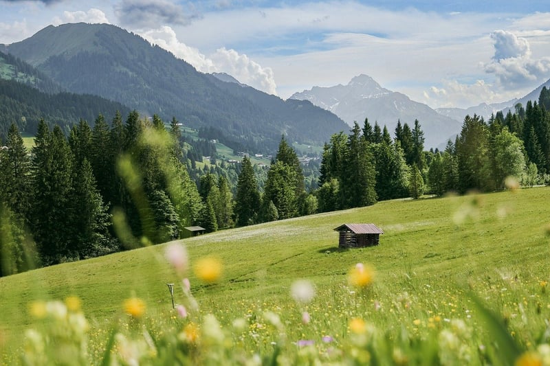Nature Landscape
